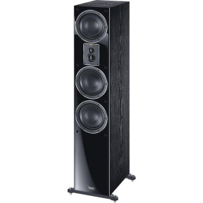 Magnat Signature 507 sloupový reproduktor, černý