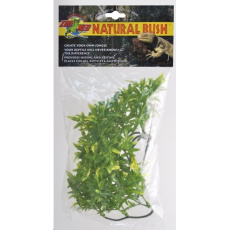 Rost.ter.ZMD Bolivian Croton S