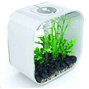 Akvarium BIORB Life Square bile 30l
