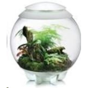 Terarium BIORB AIR bile 60l
