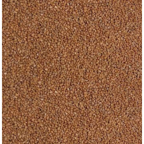 PC pisek hnedy 3000g