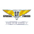 CT Special Forces: Fire For Effect (PC) klíč Steam