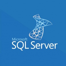 SQLSvrStd 2019 OLP NL Gov SQLSvrStd 2019 OLP NL Gov