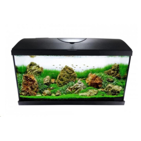 CATGATO Akvarium Pacific 50 50x25x30 37,5L
