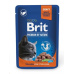 Kaps. Brit premium cat pouches Salmon for Sterilized 100 g