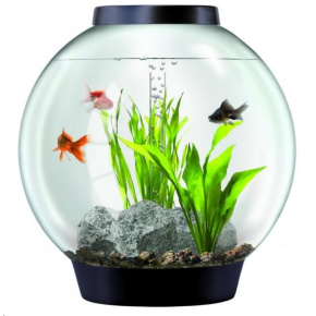 Akvarium BIORB cerne 30l
