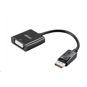 AKASA kabel redukce DisplayPort na DVI, 20cm