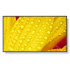 SHARP/NEC LFD 65" MultiSync M651-2, IPS, 3840x2160, 500nit, 8000:1, 8ms, 24/7, DP, HDMI, LAN, USB, Mediaplayer