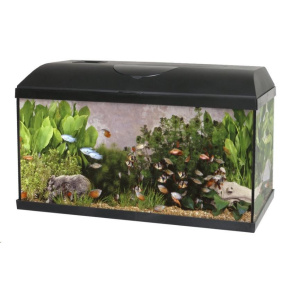 CATGATO Akvarium Pacific 60x30x30cm
