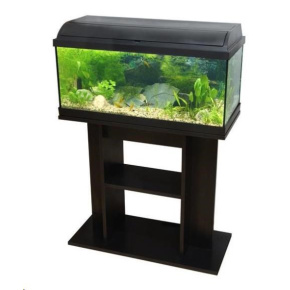 CATGATO Akvarium Pacific 80x30x40